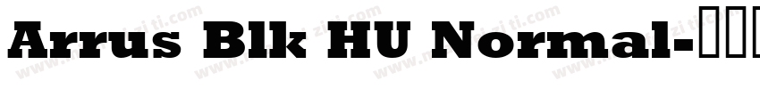 Arrus Blk HU Normal字体转换